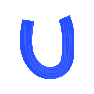 lucky blue horse shoe